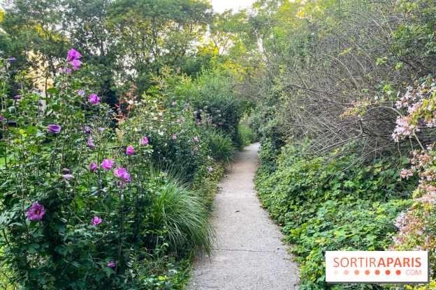 Le parc de Belleville - image00019