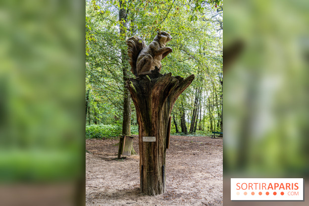 Le village de Janvry en Haute Vallée de Chevreuse  -  A7C0049