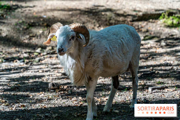 Le village de Janvry en Haute Vallée de Chevreuse  -  A7C0060