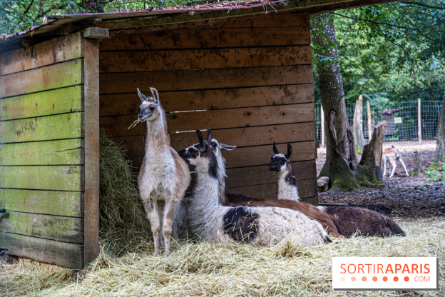 Le village de Janvry en Haute Vallée de Chevreuse  -  A7C0046