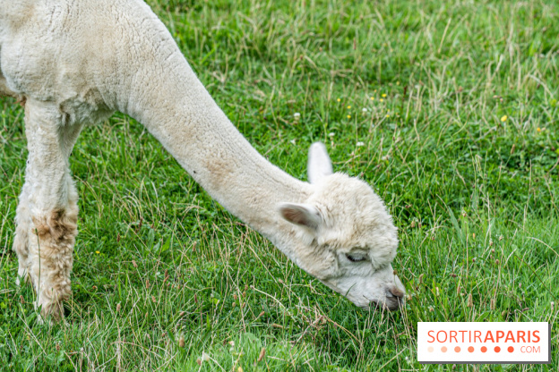 Le village de Janvry en Haute Vallée de Chevreuse  -  A7C9966