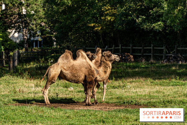 Le village de Janvry en Haute Vallée de Chevreuse  -  A7C0067
