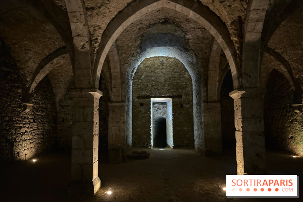 Provins, cité médiévale - IMG 4674