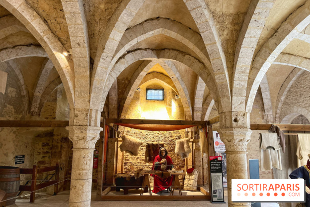 Provins, cité médiévale