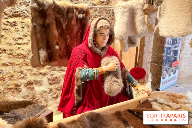 Provins, cité médiévale - IMG 4637