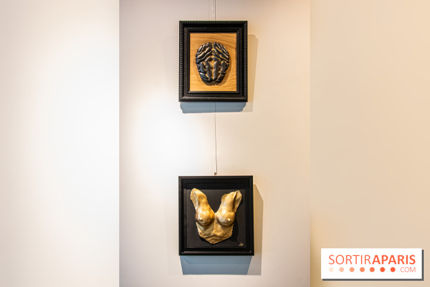 Exposition Organessence Ono galerie La Lison