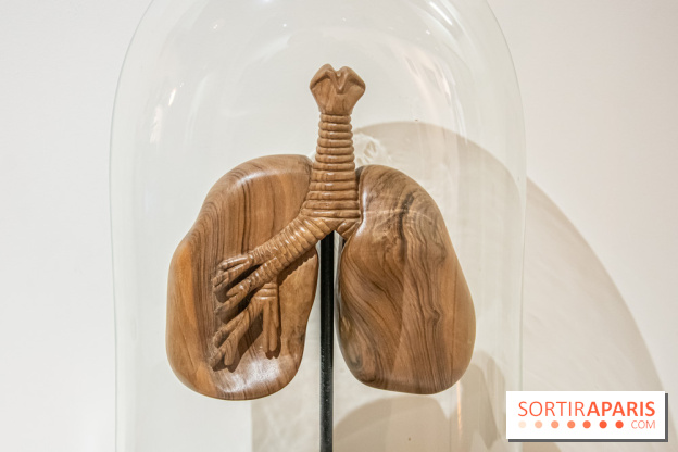 Exposition Organessence Ono galerie La Lison