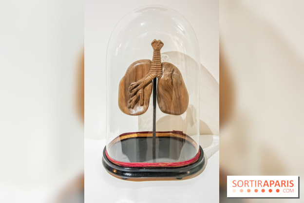 Exposition Organessence Ono galerie La Lison