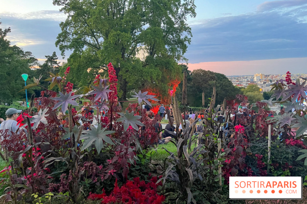 Festival Silhouette au parc de la Butte du Chapeau Rouge - image00005
