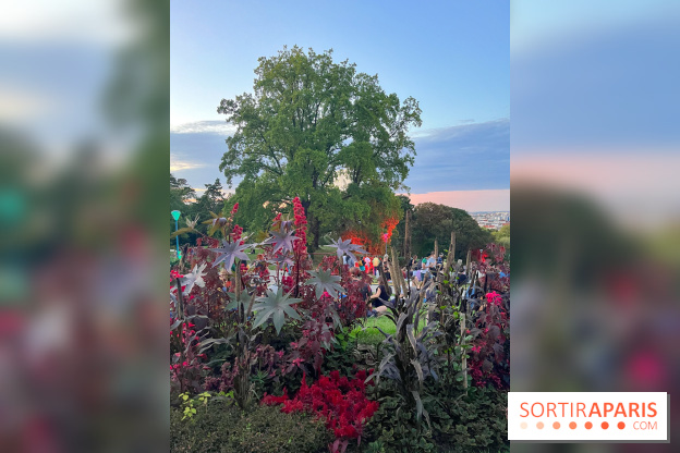 Festival Silhouette au parc de la Butte du Chapeau Rouge - image00006