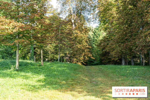 Village de Dampierre en Yvelines  -  A7C0145