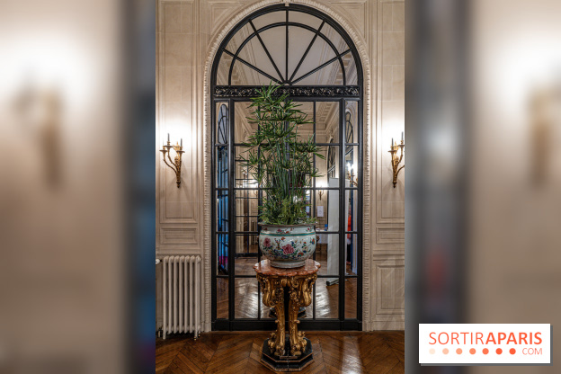 La Fondation Simone et Cino Del Duca - Hôtel Emile Pereire -  A7C0616