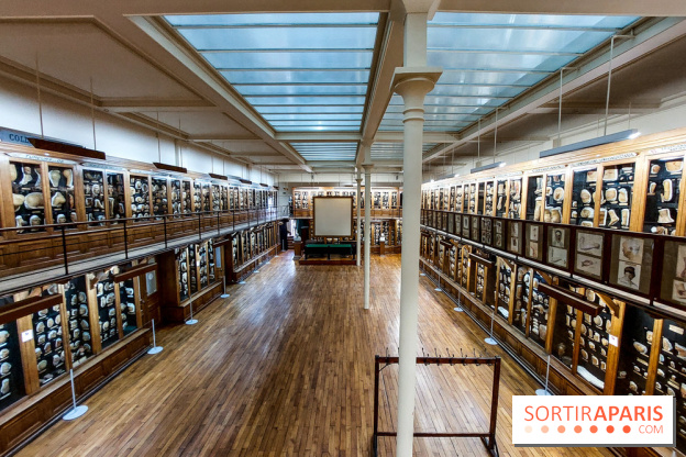 Musée des Moulages à Paris, nos photos - 20230905 120305