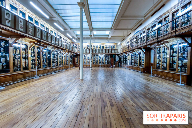 Musée des Moulages à Paris, nos photos - 20230905 121312