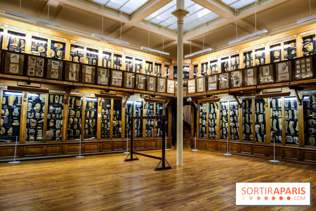 Musée des Moulages à Paris, nos photos - IMG 0812