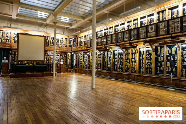 Musée des Moulages à Paris, nos photos - IMG 0814