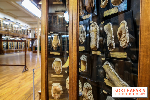 Musée des Moulages à Paris, nos photos - IMG 0816