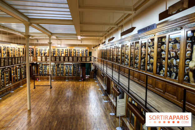 Musée des Moulages à Paris, nos photos - IMG 0826