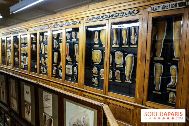 Musée des Moulages à Paris, nos photos - IMG 0834