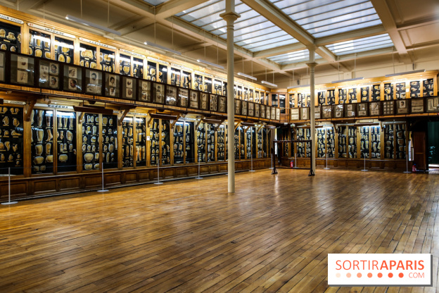 Musée des Moulages à Paris, nos photos