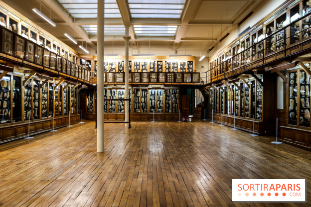 Musée des Moulages à Paris, nos photos - IMG 0843