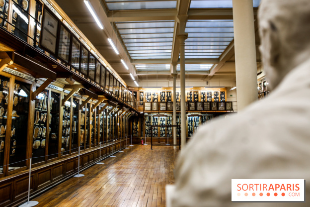 Musée des Moulages à Paris, nos photos - IMG 0845