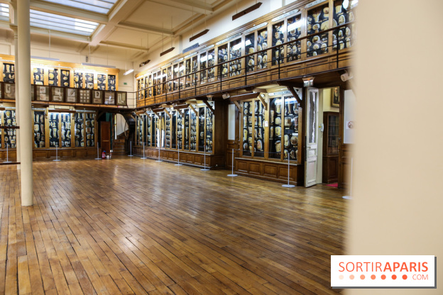 Musée des Moulages à Paris, nos photos - IMG 0847