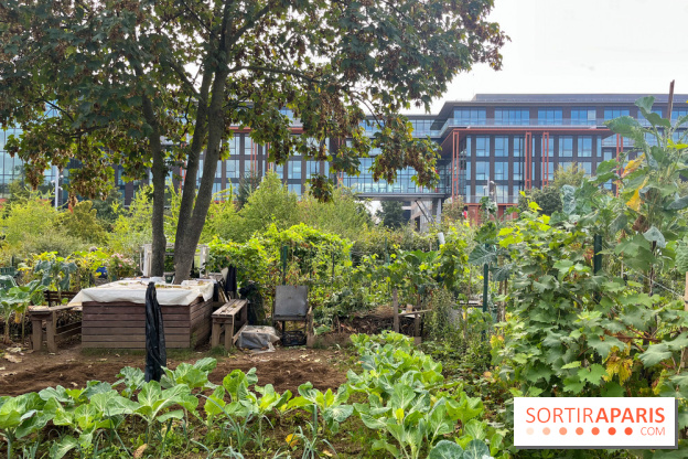 Le Grand Parc des Docks, à Saint-Ouen - image00222