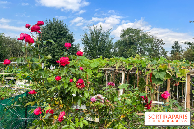 Le Grand Parc des Docks, à Saint-Ouen - image00223