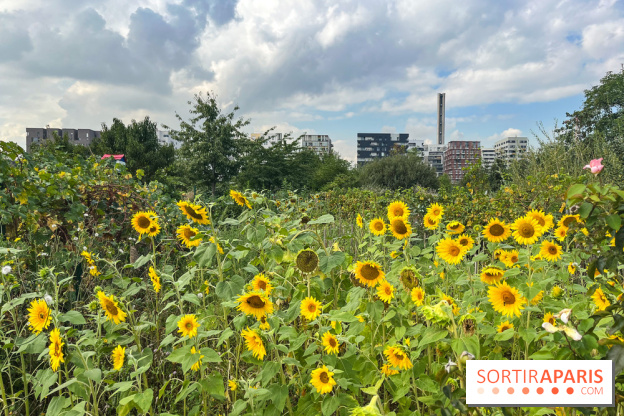 Le Grand Parc des Docks, à Saint-Ouen - image00219