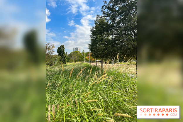 Le Grand Parc des Docks, à Saint-Ouen - image00200