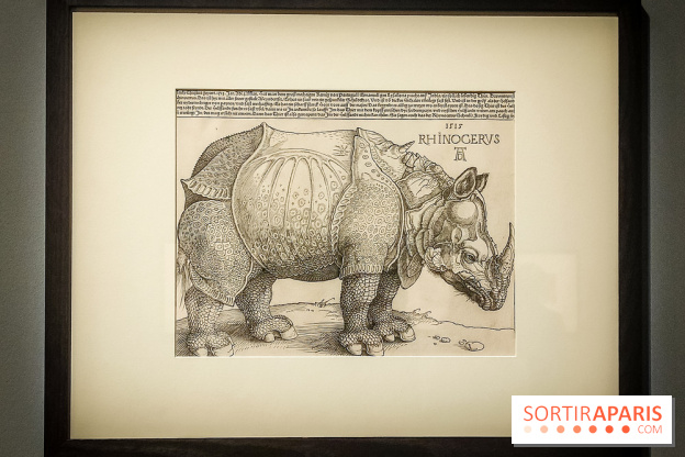 Trésors en noir et blanc, l'exposition des grands maîtres de l'estampe au Petit Palais - nos photos