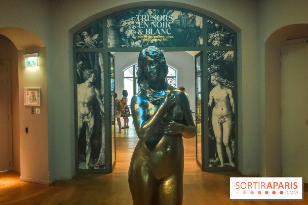 Trésors en noir et blanc, l'exposition des grands maîtres de l'estampe au Petit Palais - nos photos