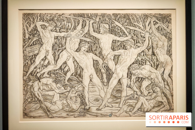 Trésors en noir et blanc, l'exposition des grands maîtres de l'estampe au Petit Palais - nos photos