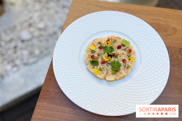 Westin Paris Vendôme - Ceviche de daurade