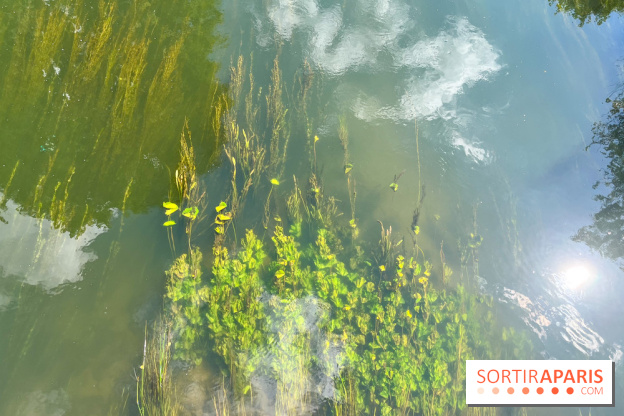 Motigny-sur-Loing - image00232