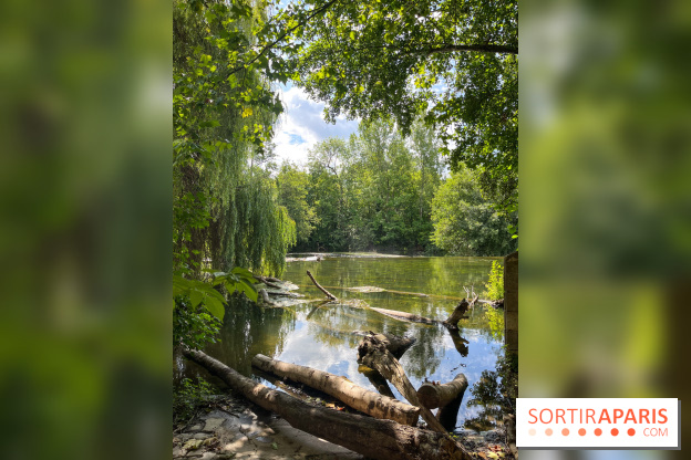 Motigny-sur-Loing - image00225