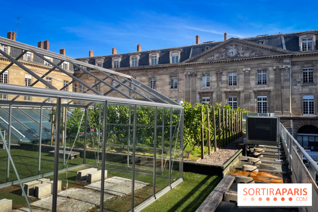 Vignoble Hôtel de Ville
