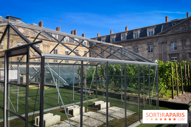 Vignoble Hôtel de Ville