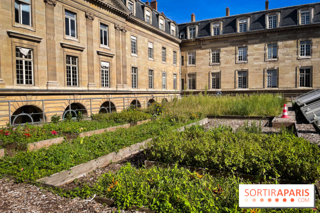 Vignoble Hôtel de Ville
