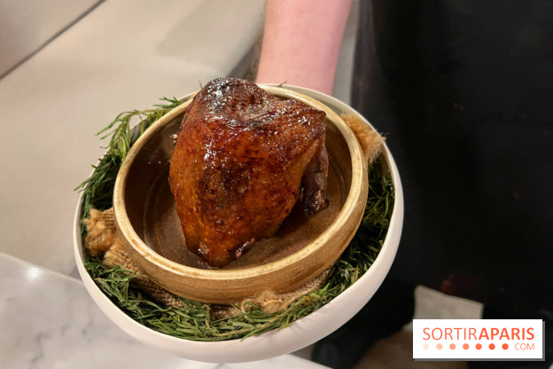 Tracé, Clément Vergeat - Pigeon entier