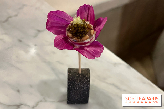 Tracé, Clément Vergeat - Fleur radis caviar