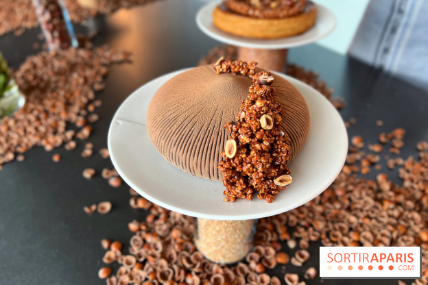 La Halle aux Grains - Bûche sarrasin noisette 2023
