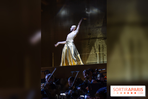 Gold Gala du Ritz, découvrez les photos de la soirée des 125 ans -  A7C0981