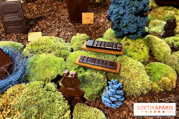 Alain Ducasse - Chocolats de Noël 2023 - 1C8D269F A4D5 4E19 A548 B3633784C155