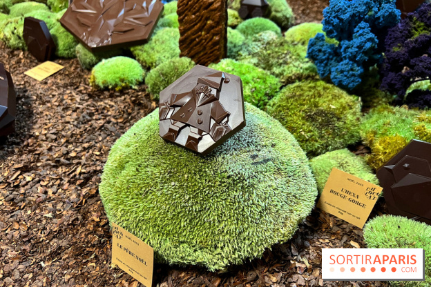 Alain Ducasse - Chocolats de Noël 2023 - 8BD9A8A5 B759 40A3 AD54 BDB4085896B4