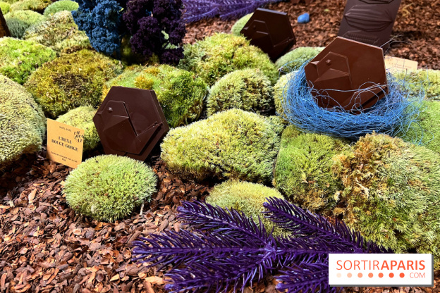 Alain Ducasse - Chocolats de Noël 2023 - 16C69F91 3DF8 4C50 91C9 D060A4D0ECC6