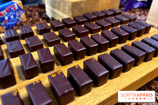 Alain Ducasse - Chocolats de Noël 2023 - 00817EE2 785D 442B A23E 8514DA957F4A