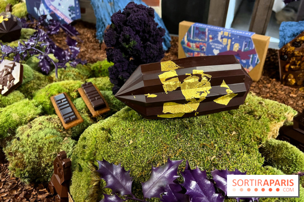 Alain Ducasse - Chocolats de Noël 2023 - ADE7453F 8589 4CBF B619 4ACEEF6C6339