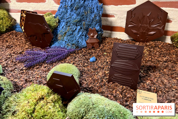 Alain Ducasse - Chocolats de Noël 2023 - F294480A 28D4 4055 AE42 265FE00C39D4